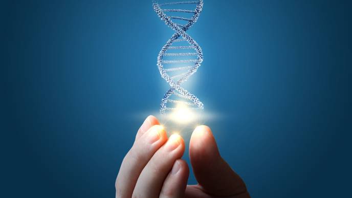 ReachMD Healthcare Image