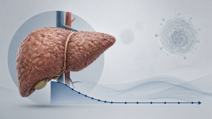 long term hbv dna response patterns track outcomes in cirrhosis