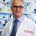 Kamel Khalili, PhD