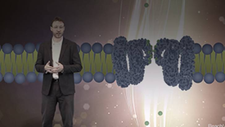 ReachMD Healthcare Image