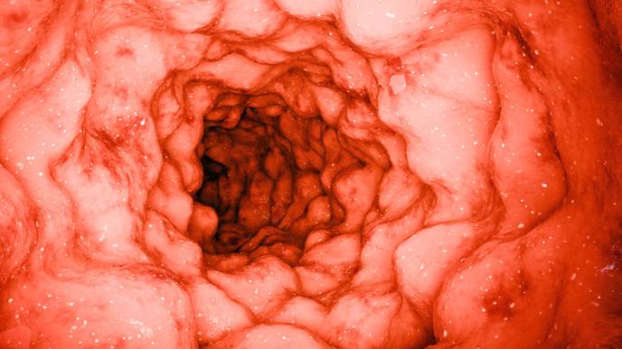 ReachMD Healthcare Image