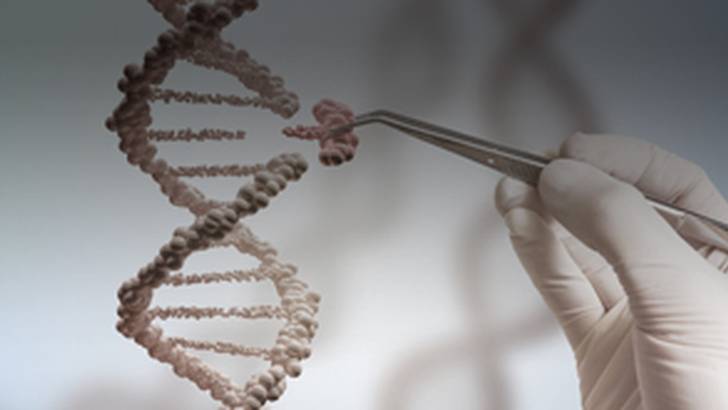 ReachMD Healthcare Image