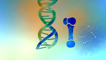 Identifying Genetic Keys to Osteoarthritis