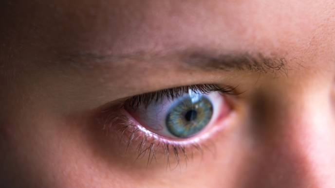 ReachMD Healthcare Image