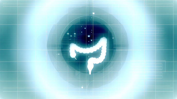 Enhancing Colorectal Polyp Detection Radiologists Benefit from AI Assistance