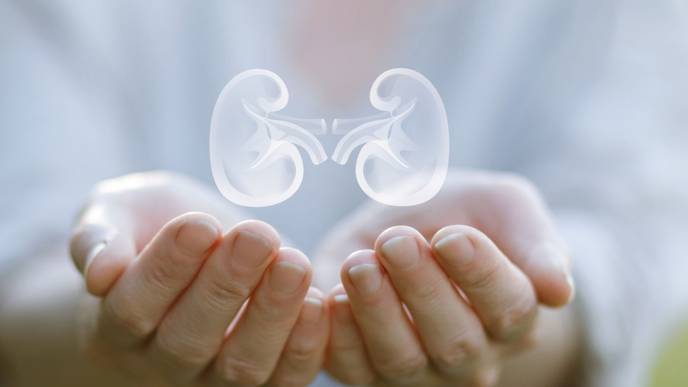 ReachMD Healthcare Image