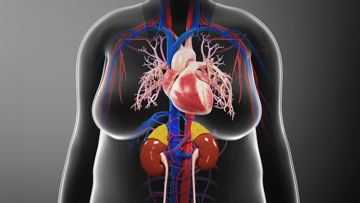 ReachMD Healthcare Image