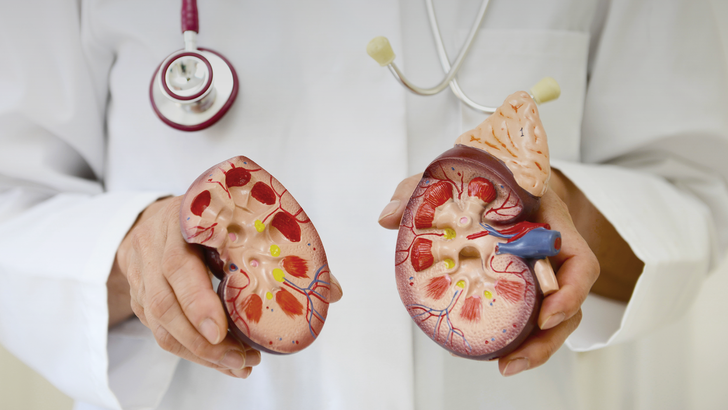 ReachMD Healthcare Image