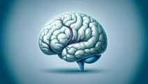 asundexian in secondary stroke prevention after noncardioembolic events