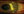 Figure 2. The eye 1 day after surgery.