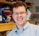 Matthias Hebrok, PhD