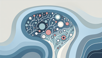 Cognitive Function in Aging