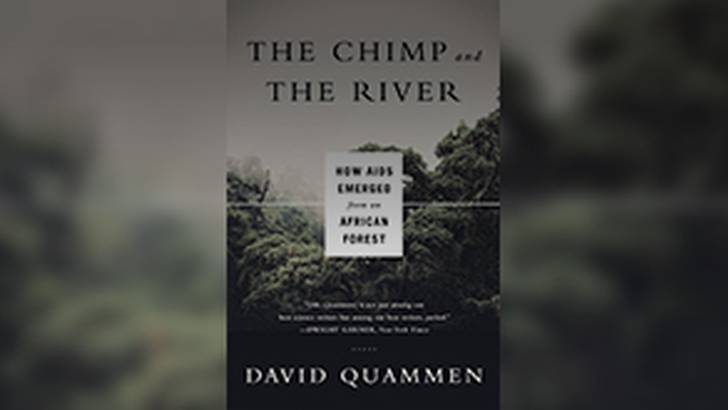 ReachMD Healthcare Image