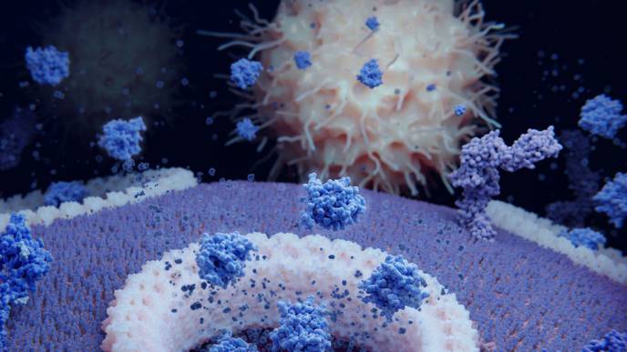 ReachMD Healthcare Image