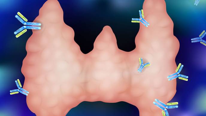 ReachMD Healthcare Image