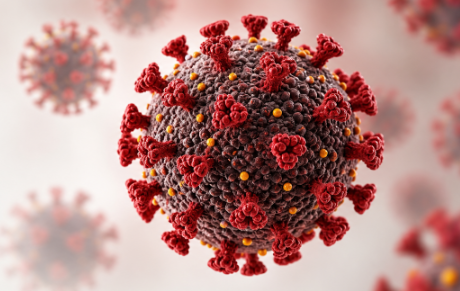Weekly Oral HIV Maintenance Therapy Matches Daily BFTAF