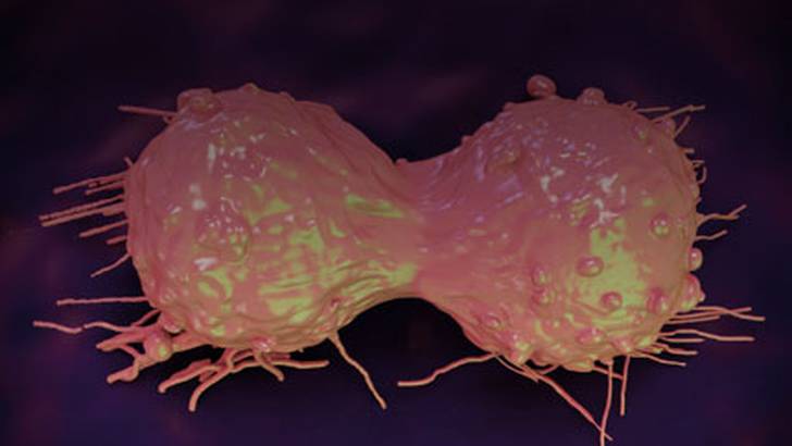 ReachMD Healthcare Image