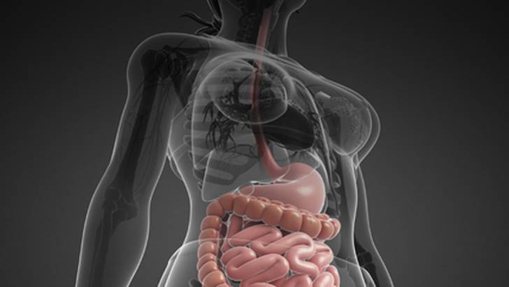 ReachMD Healthcare Image