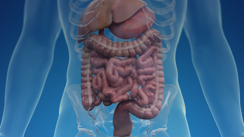 ReachMD Healthcare Image