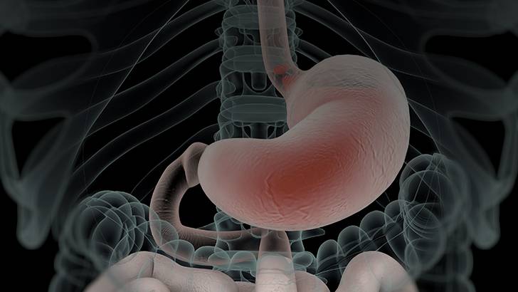 ReachMD Healthcare Image