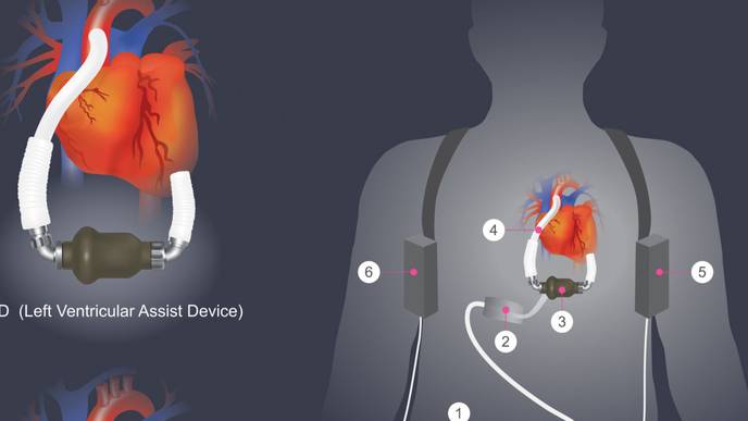 ReachMD Healthcare Image