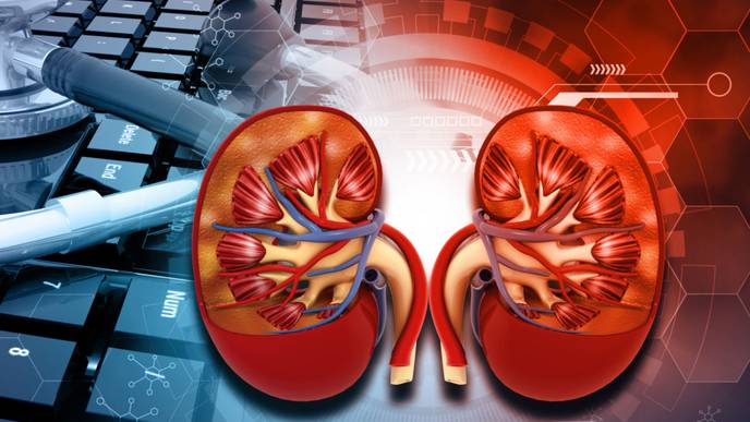 ReachMD Healthcare Image