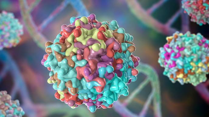 ReachMD Healthcare Image