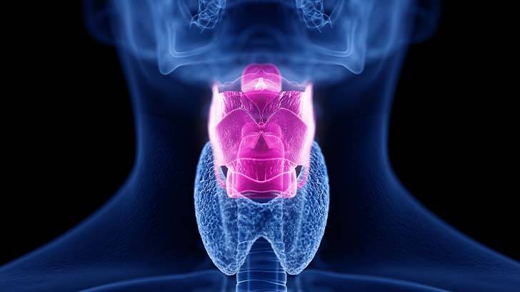 ReachMD Healthcare Image