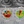 2205-supp-Art4Fig6
