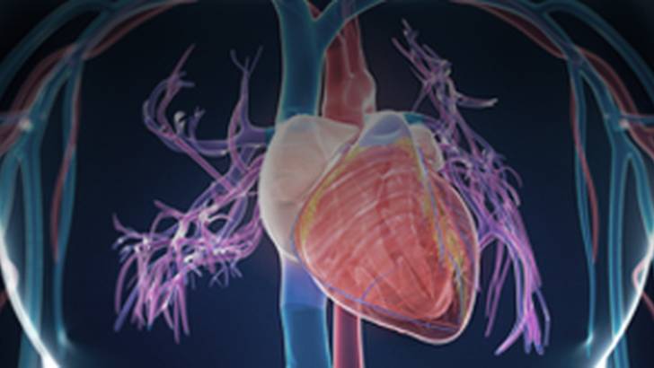 ReachMD Healthcare Image