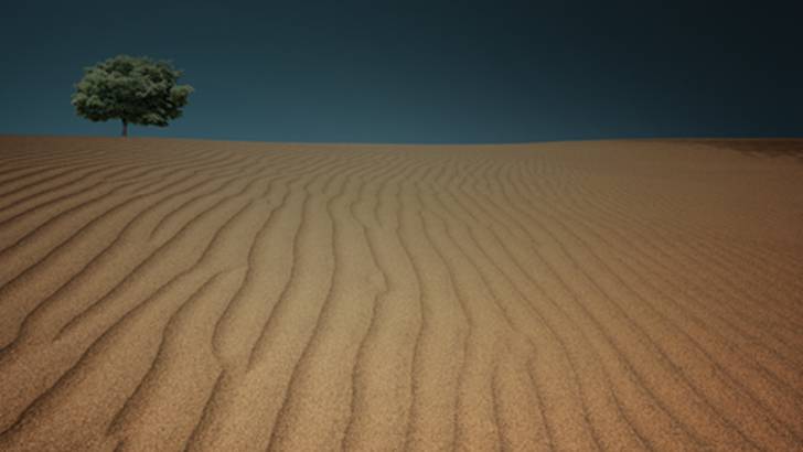 ReachMD Healthcare Image