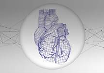 Balancing RAASi Therapy and Potassium: Understanding How it Works