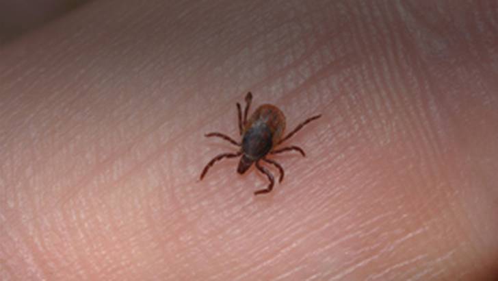 ReachMD Healthcare Image