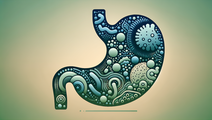 gut microbiota ultra processed impact