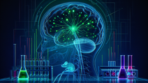 her2 syngeneic murine models for brain metastasis and cns drug testing
