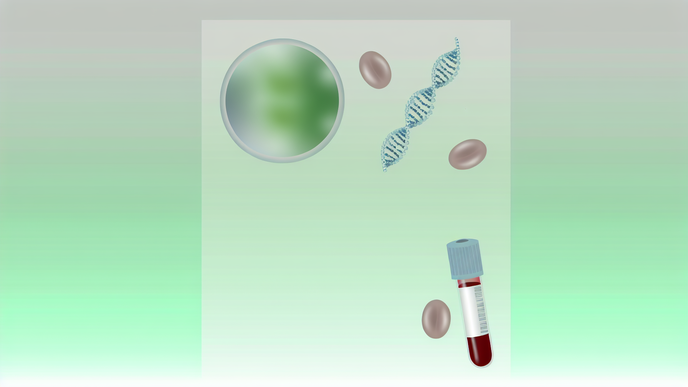 Advancements in Endometriosis Detection Non Invasive Blood Tests Offer New Hope