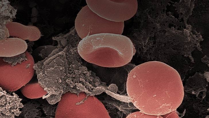 ReachMD Healthcare Image