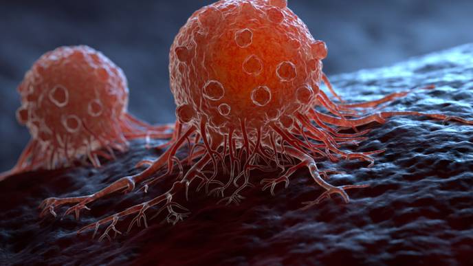 ReachMD Healthcare Image