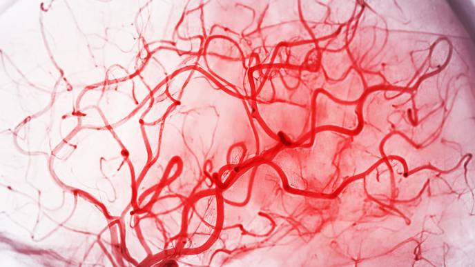 ReachMD Healthcare Image