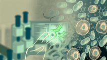 New Insights into Senescence in Melanoma and Cancer Therapy