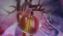 ReachMD Healthcare Image