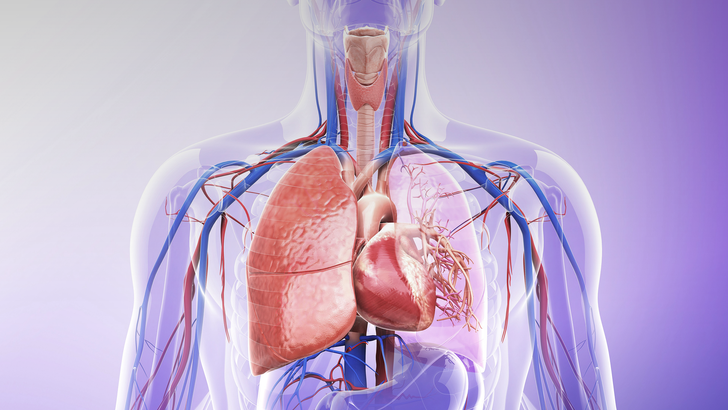 ReachMD Healthcare Image