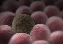 Genetic Tumor Testing