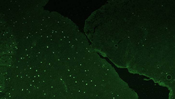 ReachMD Healthcare Image