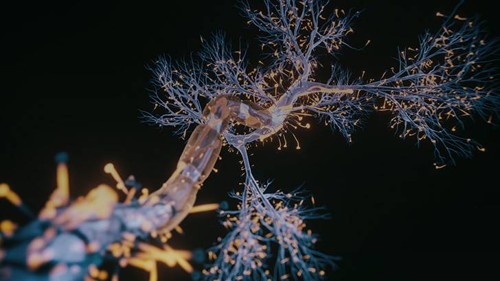 ReachMD Healthcare Image