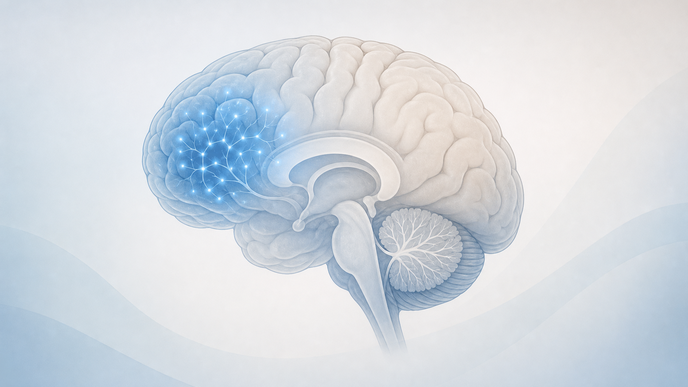 Simplified brain illustration representing ADHD related mental health risk around medication initiation