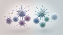 Simplified allergen responsive immune cells illustrating food allergy and tolerance classification in infant research