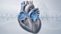 weight loss trial in older adults with persistent atrial fibrillation