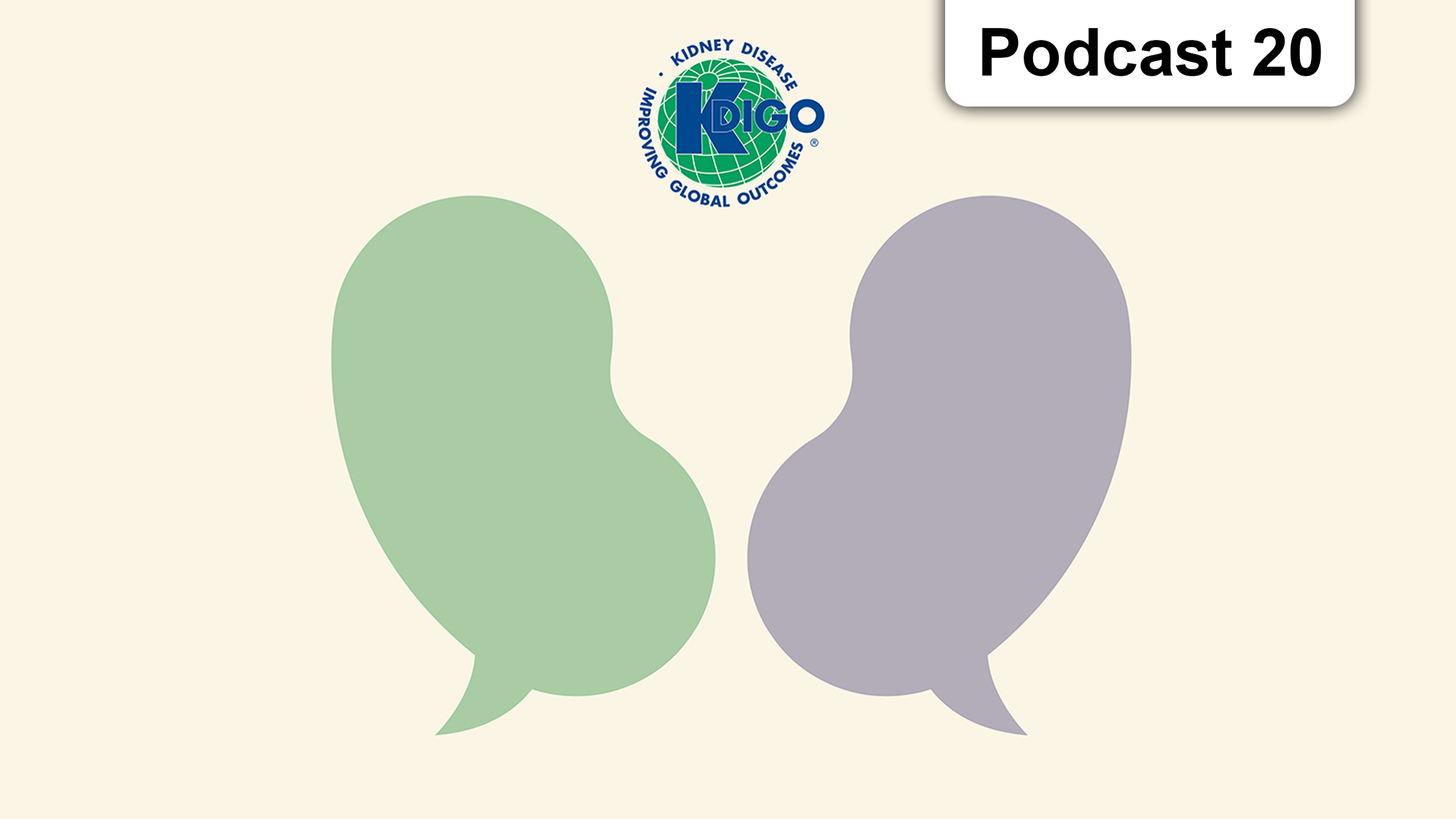 The Role of the Complement System in Kidney Diseases