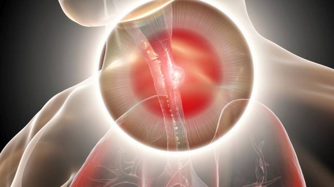 ReachMD Healthcare Image